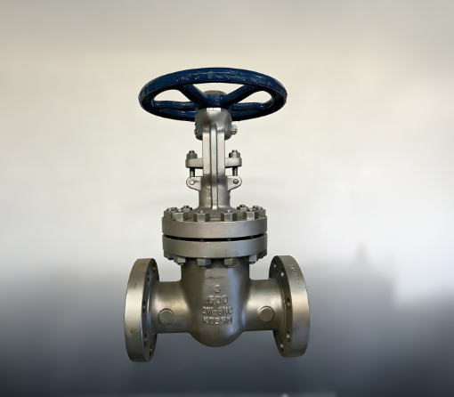 Top 5 Nickel Valve Manufacturers in China